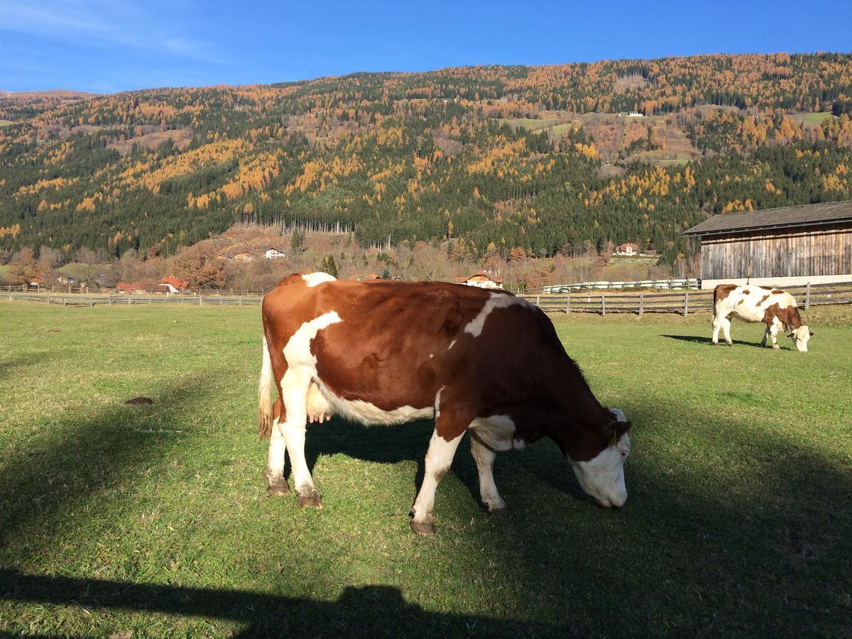 Locus Malontina Hotel Gmünd Esterno foto