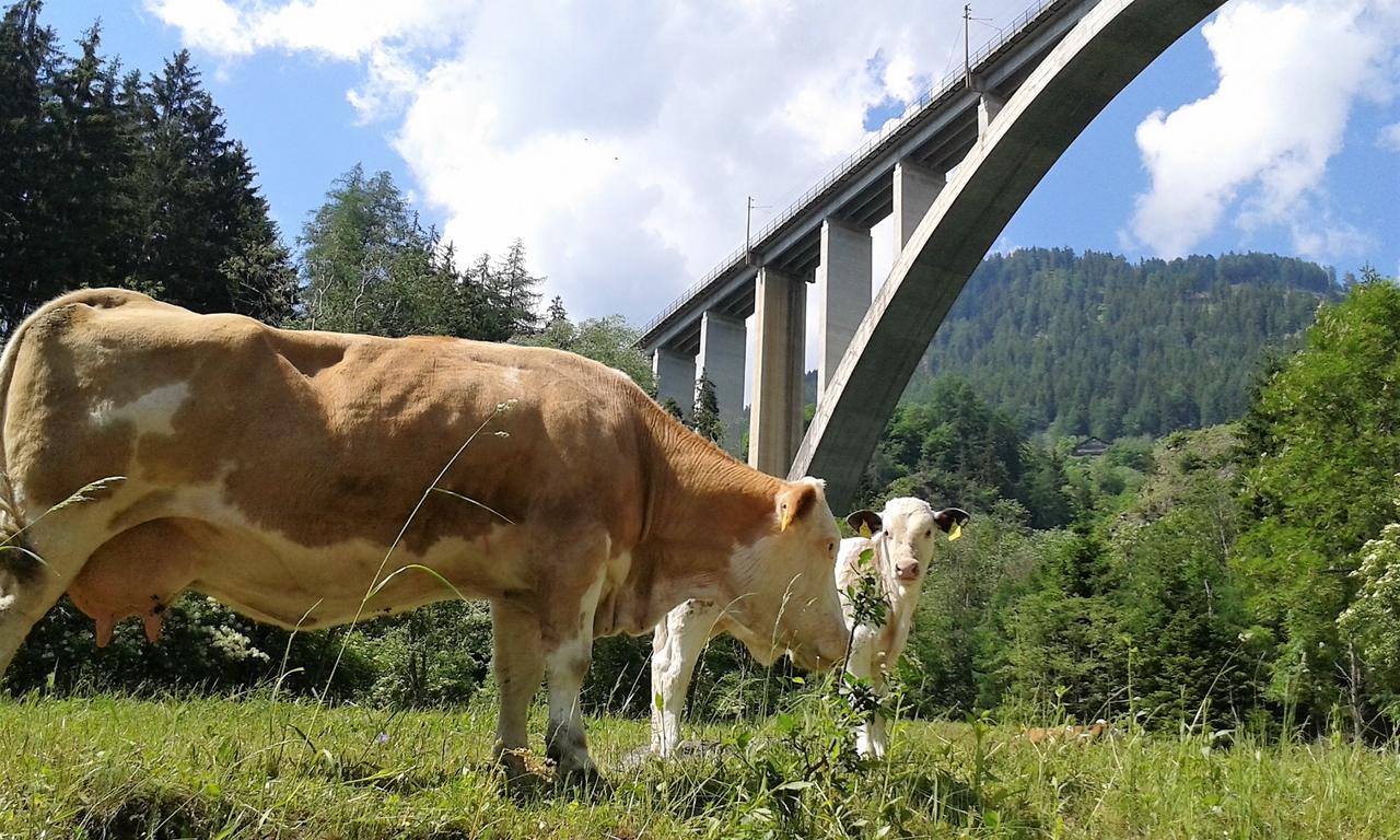 Locus Malontina Hotel Gmünd Esterno foto